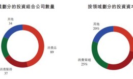 财经新势力收益怎么样（财经新风向）